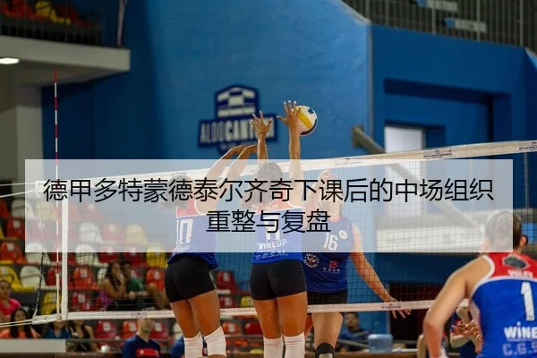 德甲多特蒙德泰尔齐奇下课后的中场组织重整与复盘